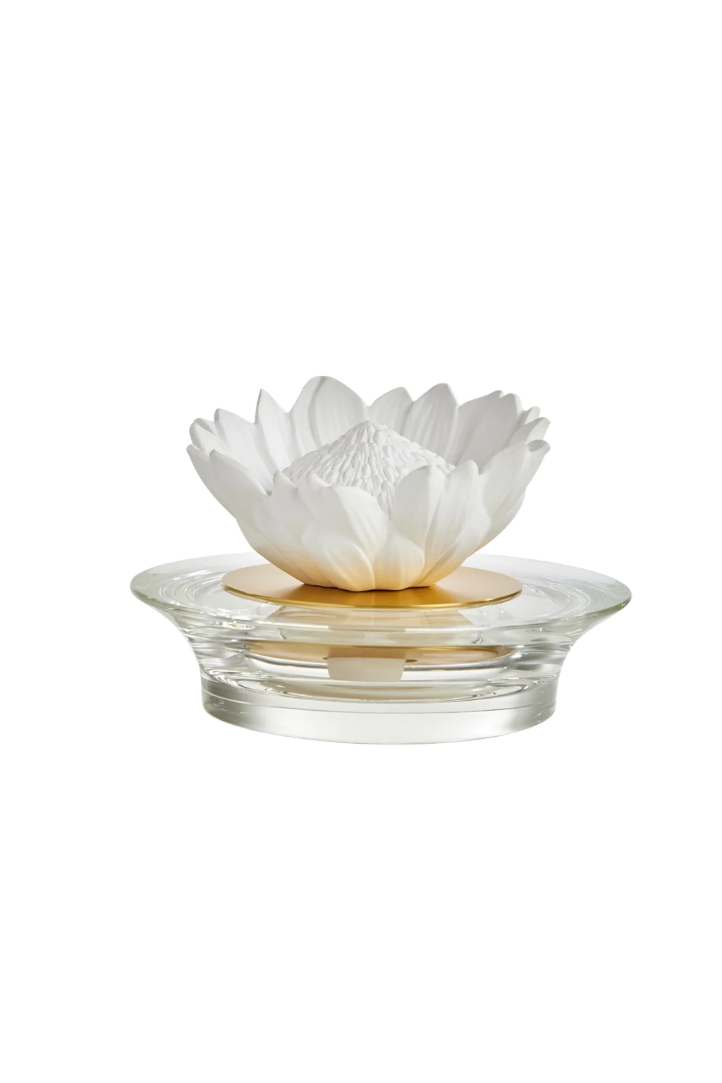 Diffuser Protea