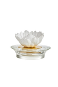 Diffuser Protea