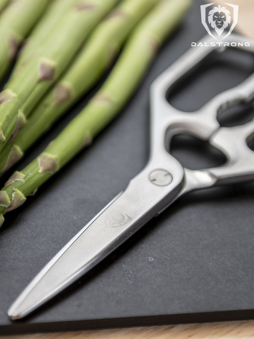 Professional Kitchen Scissors | 420J2 Stainless Steel | Dalstrong ©