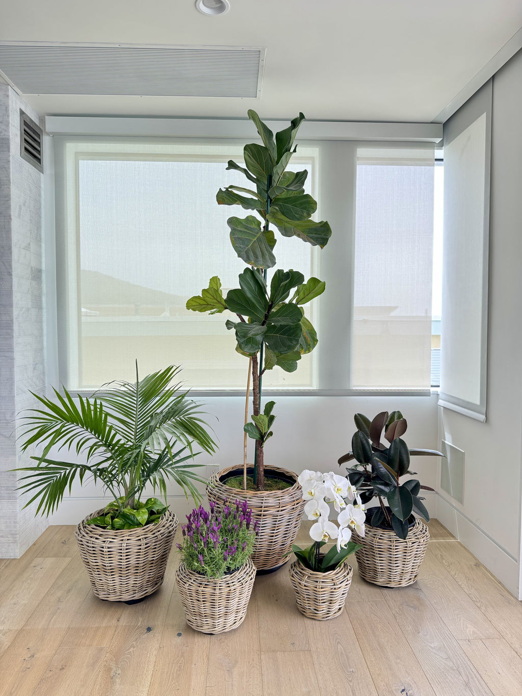 Rattan Kobo Indoor & Outdoor Planter Basket with Plastic Pot
