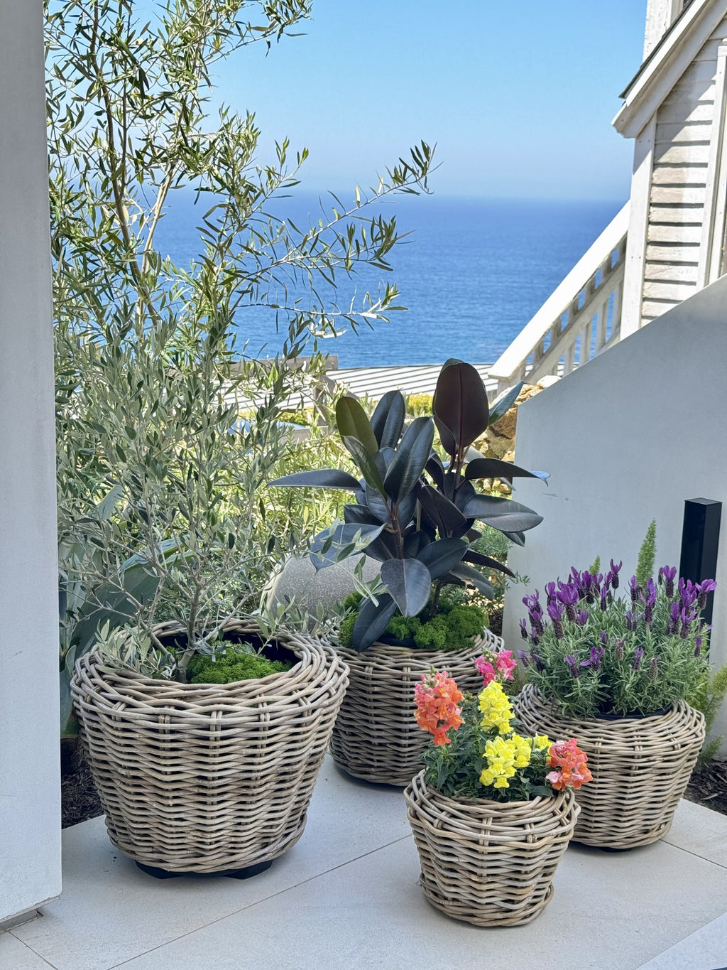 Rattan Kobo Indoor & Outdoor Planter Basket with Plastic Pot