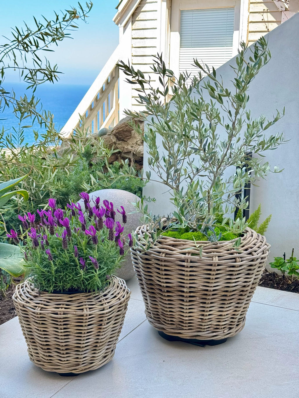 Rattan Kobo Indoor & Outdoor Planter Basket with Plastic Pot