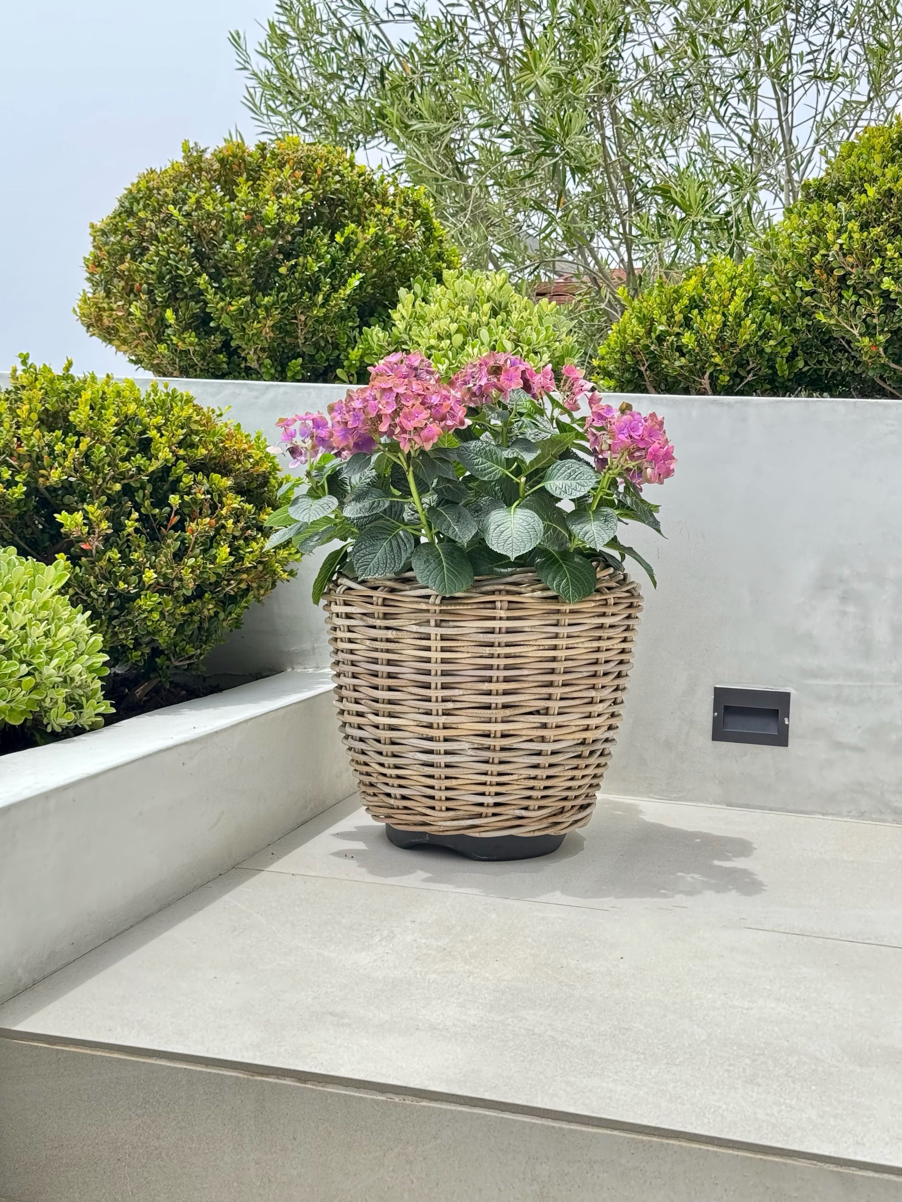 Rattan Kobo Indoor & Outdoor Jar Planter Basket with Plastic Pot
