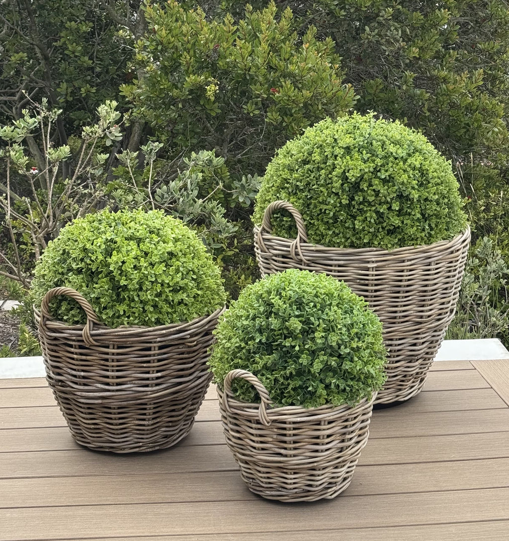 Rattan Kobo Indoor & Outdoor Planter Basket with Ear Handles & Plastic Pot