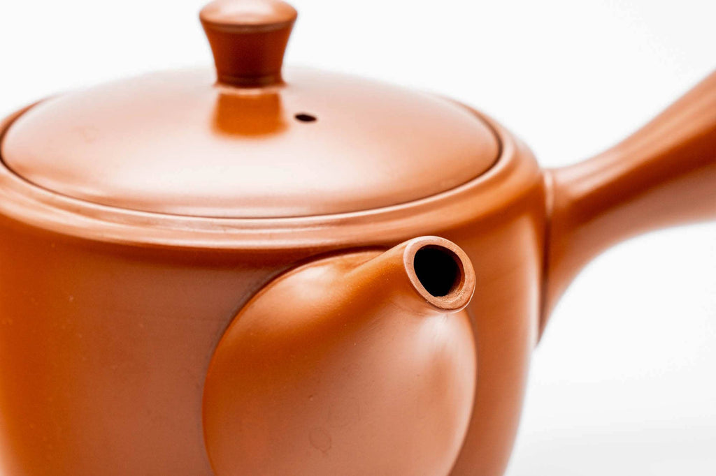 Japanese Kyusu - Classic Red Shudei Tokoname-yaki Mesh Teapot - 330ml