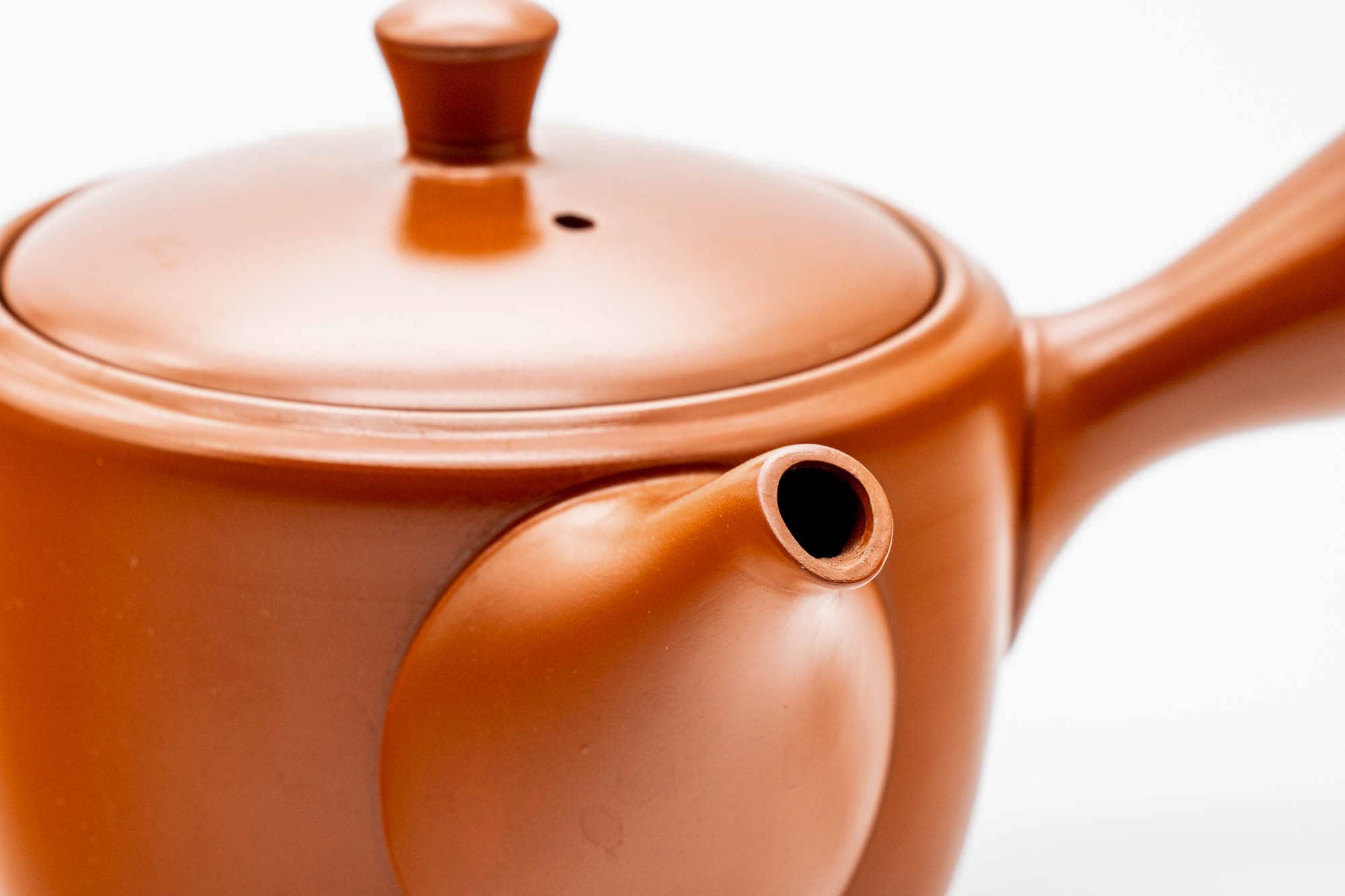Japanese Kyusu - Classic Red Shudei Tokoname-yaki Mesh Teapot - 330ml