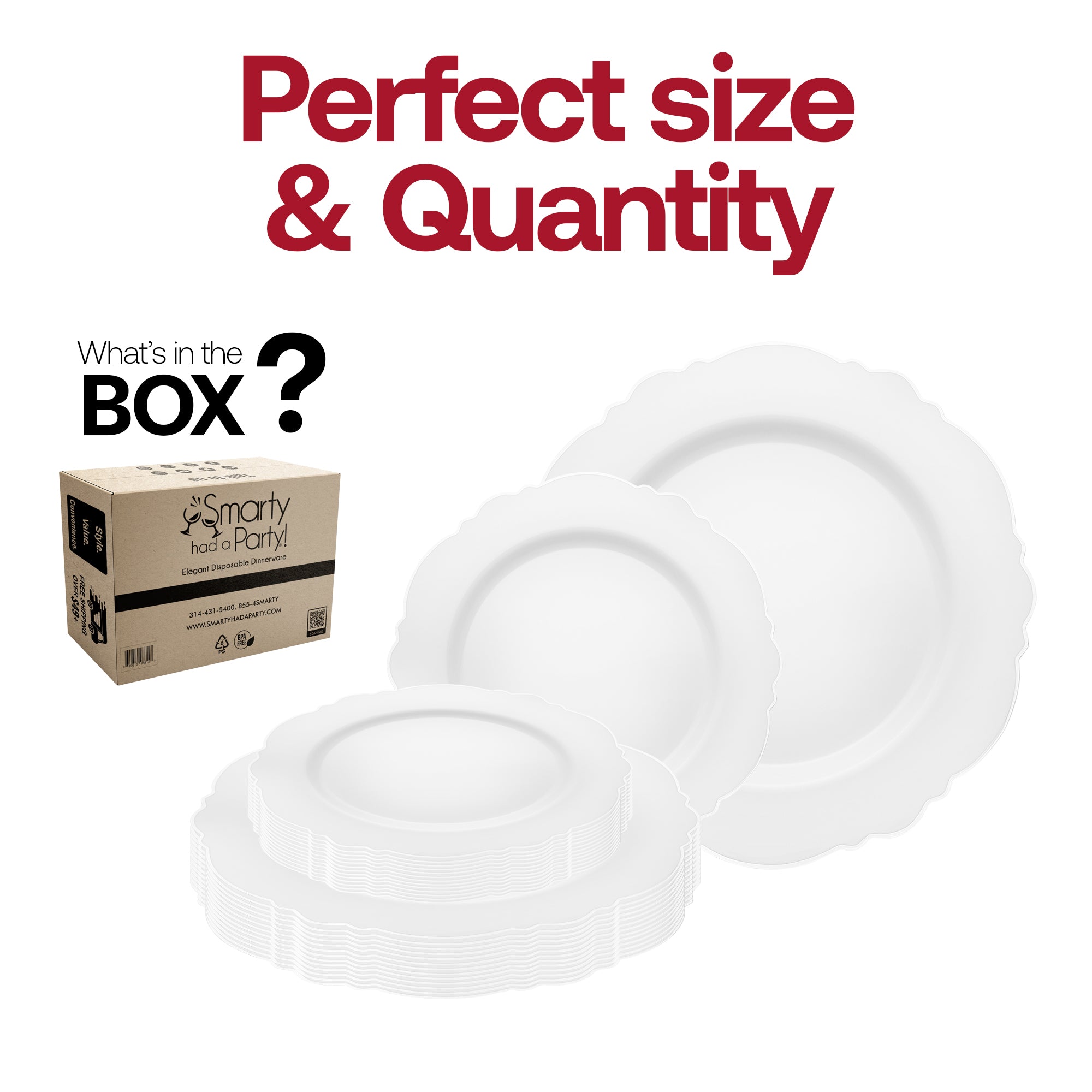 White with Silver Rim Round Blossom Disposable Plastic Dinnerware Value Set