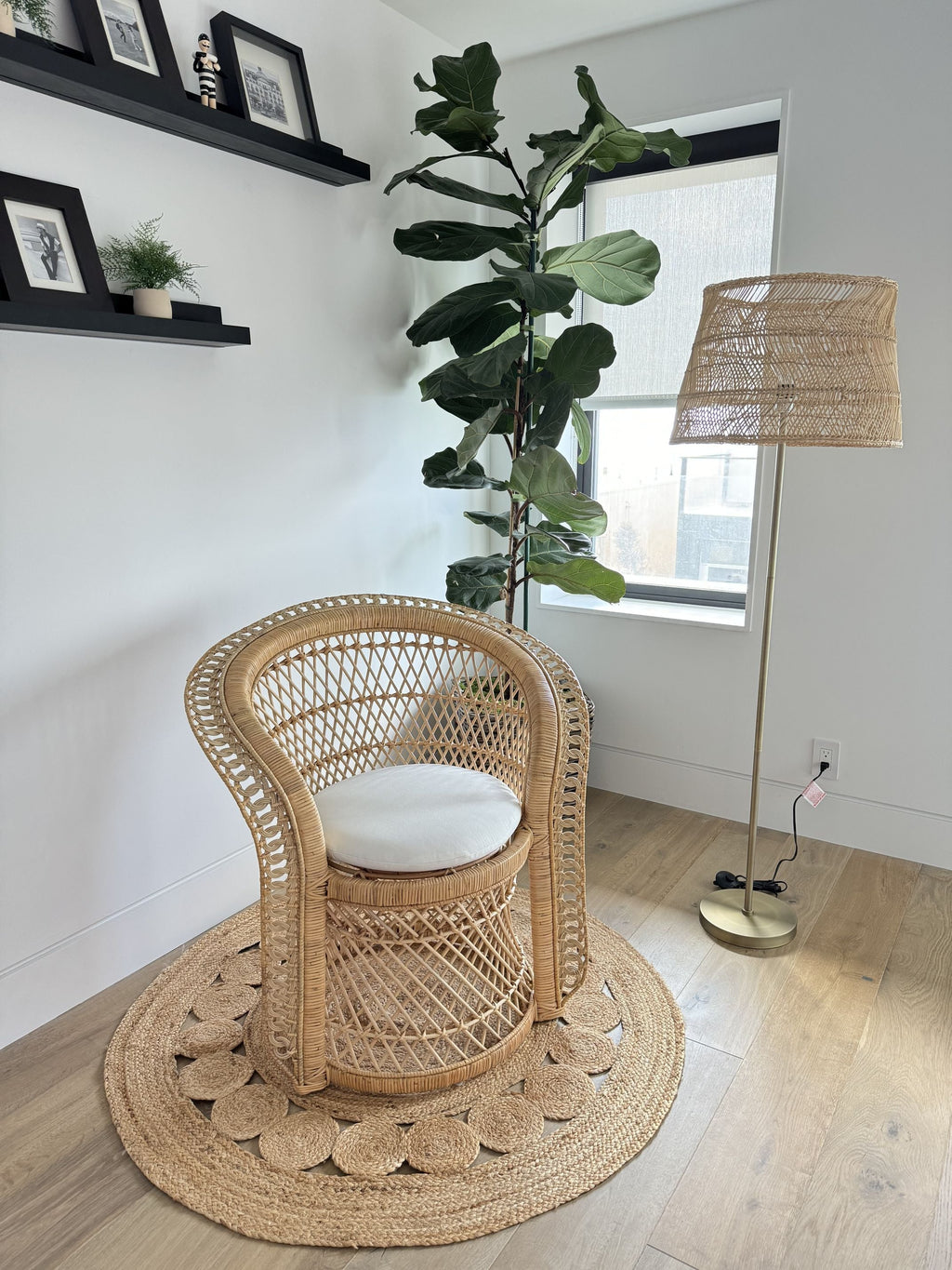 Peacock Rattan Dining Armchair or Lounge Chair, Natural