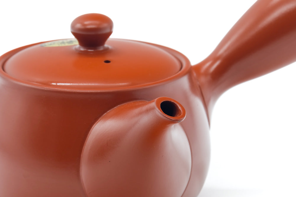 Japanese Kyusu - Long Grass Engraved Tokoname Mesh Teapot - 340ml
