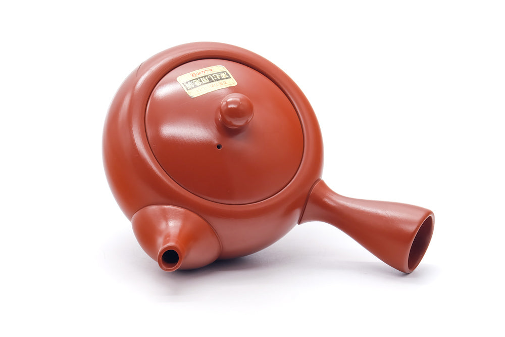 Japanese Kyusu - Long Grass Engraved Tokoname Mesh Teapot - 310ml