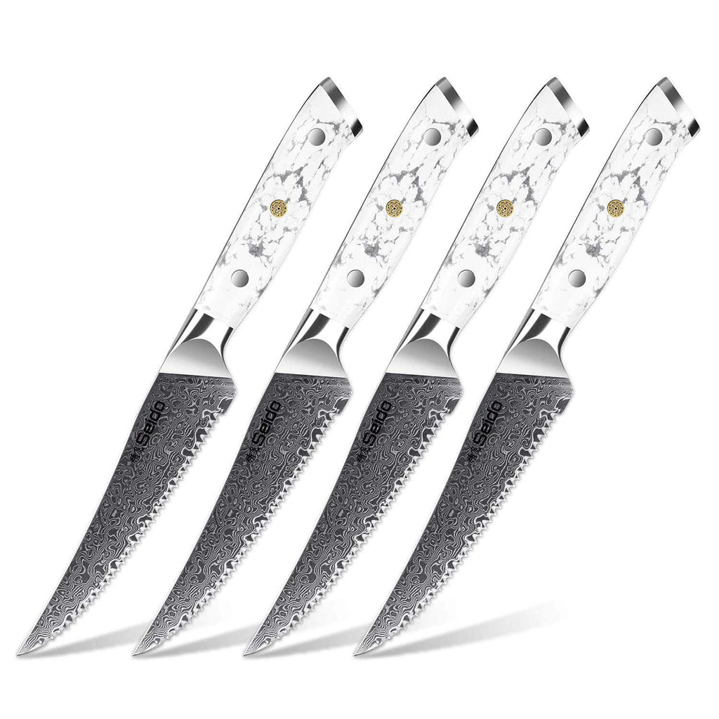 12-Piece Takoizu Knife Block Set