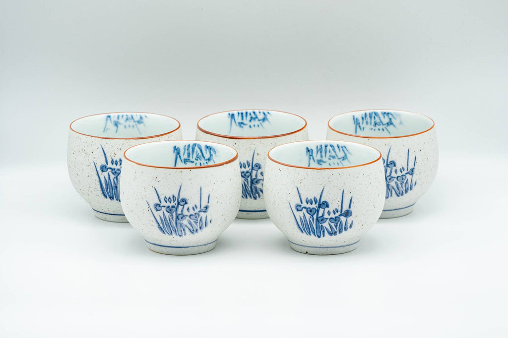 Japanese Tea Set - Blue Floral White Matte Glazed Arita-yaki Debeso Kyusu Teapot with 5 Yunomi Teacups