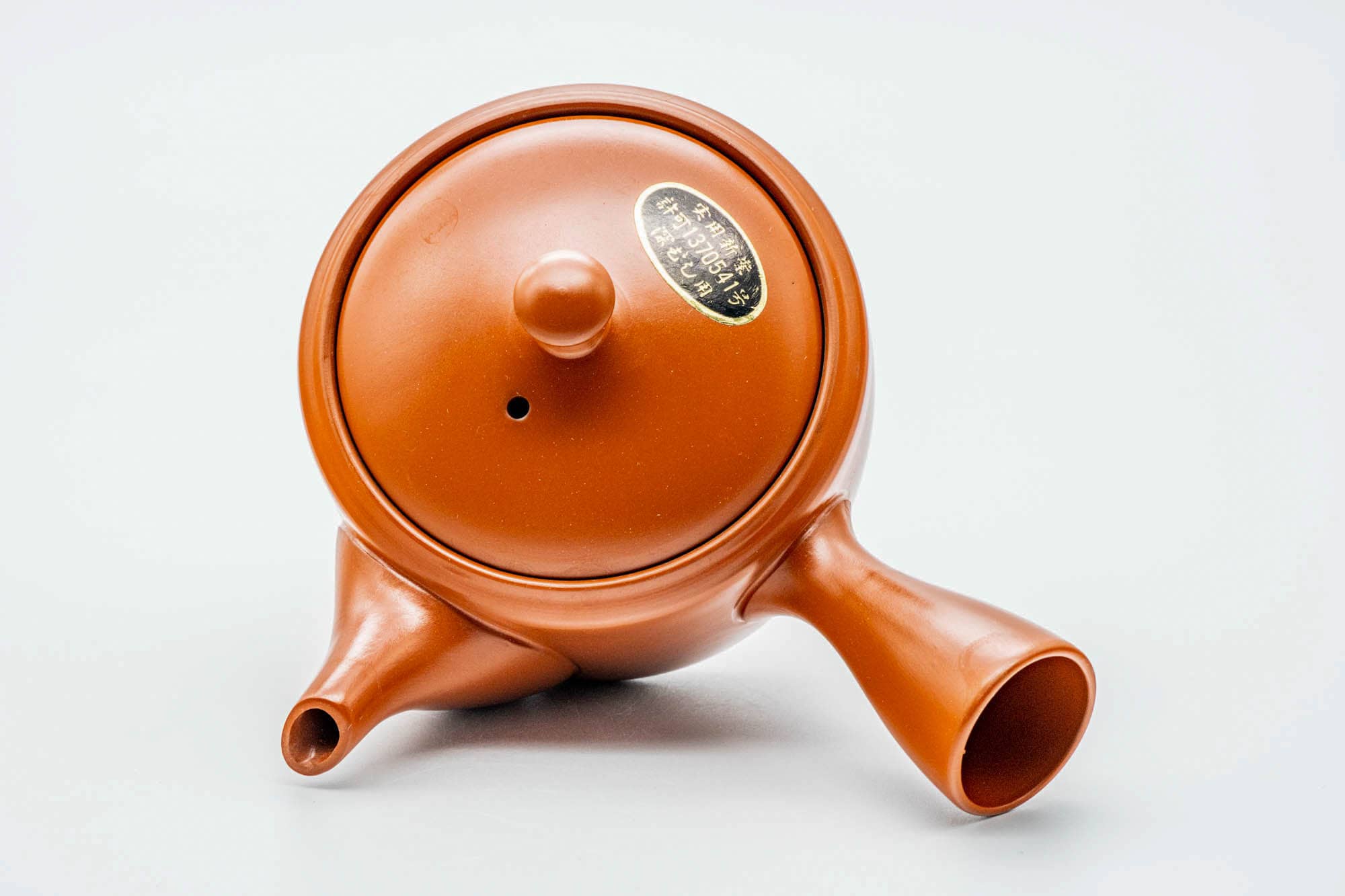 Japanese Kyusu - Classic Red Shudei Tokoname-yaki Mesh Teapot - 330ml