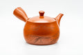 Japanese Kyusu - Large Mountain Engraved Tokoname-yaki Teapot - 550ml