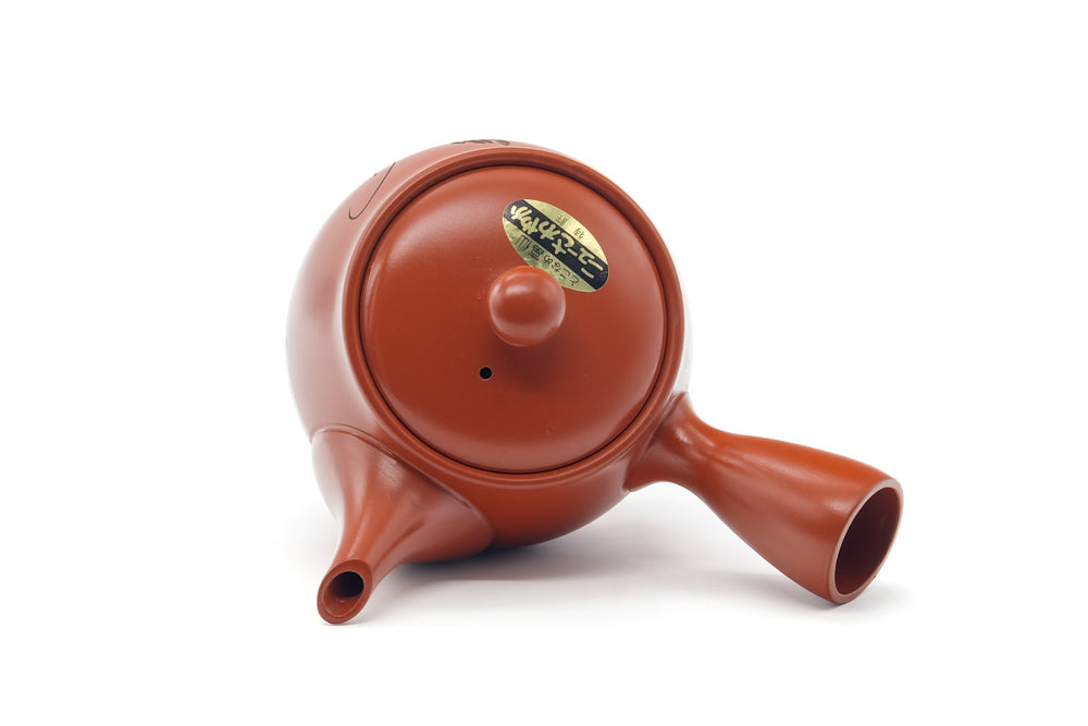 Japanese Kyusu - Long Grass Engraved Tokoname Mesh Teapot - 340ml