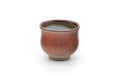 Japanese Teacup - Red Speckled Fish Yunomi - 160ml
