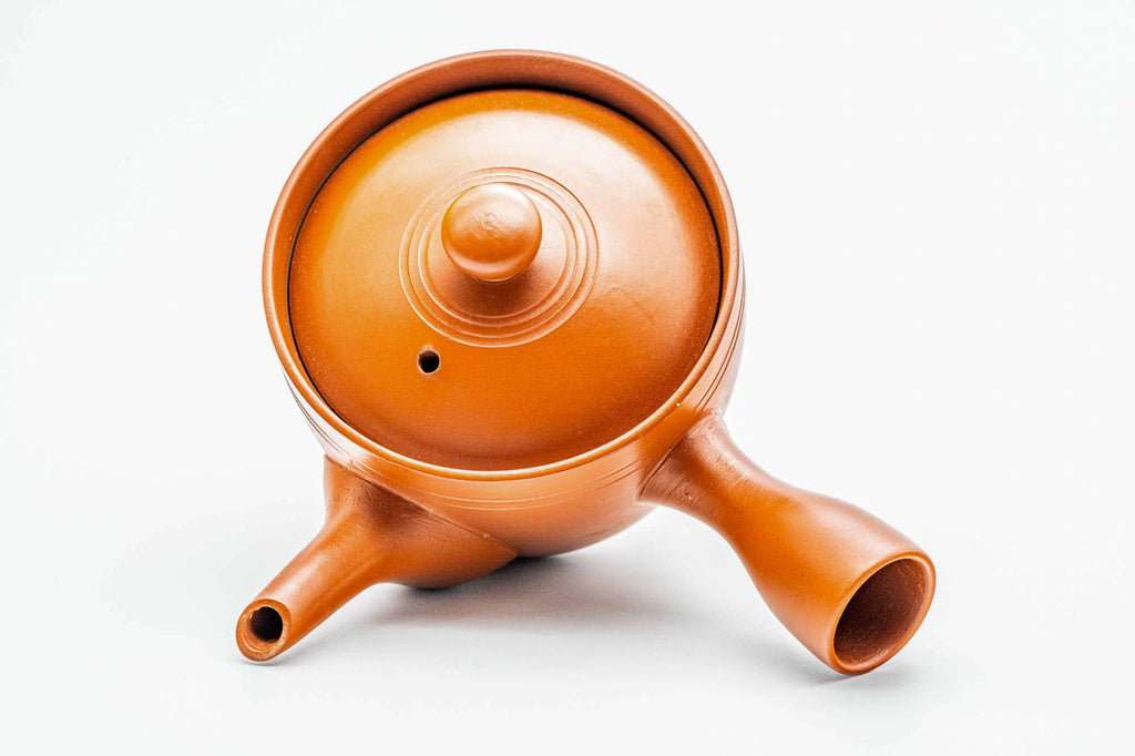 Japanese Kyusu - Red Shudei Tokoname-yaki Mesh Teapot - 160ml