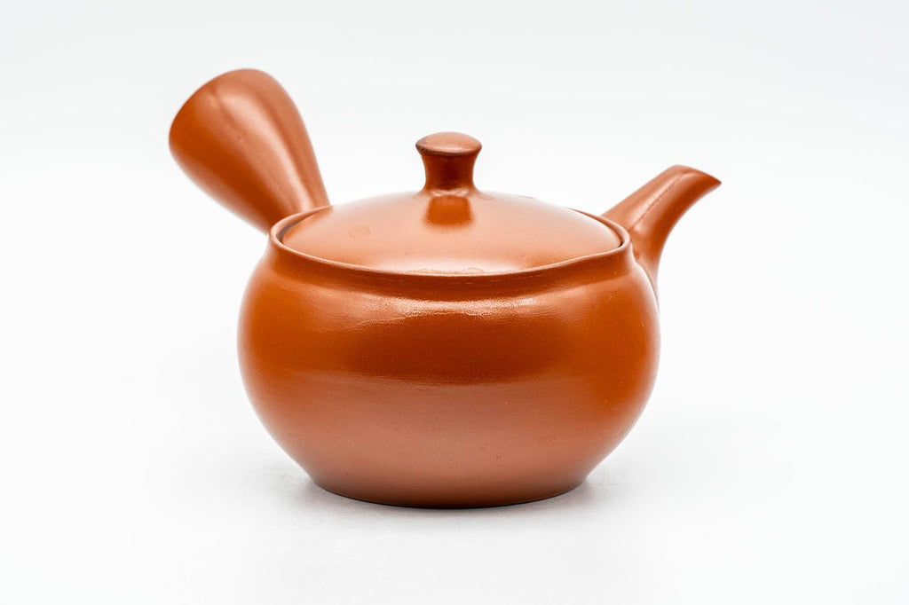 Japanese Kyusu - Classic Red Shudei Tokoname-yaki Mesh Teapot - 290ml