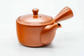 Japanese Kyusu - Classic Red Shudei Tokoname-yaki Mesh Teapot - 330ml