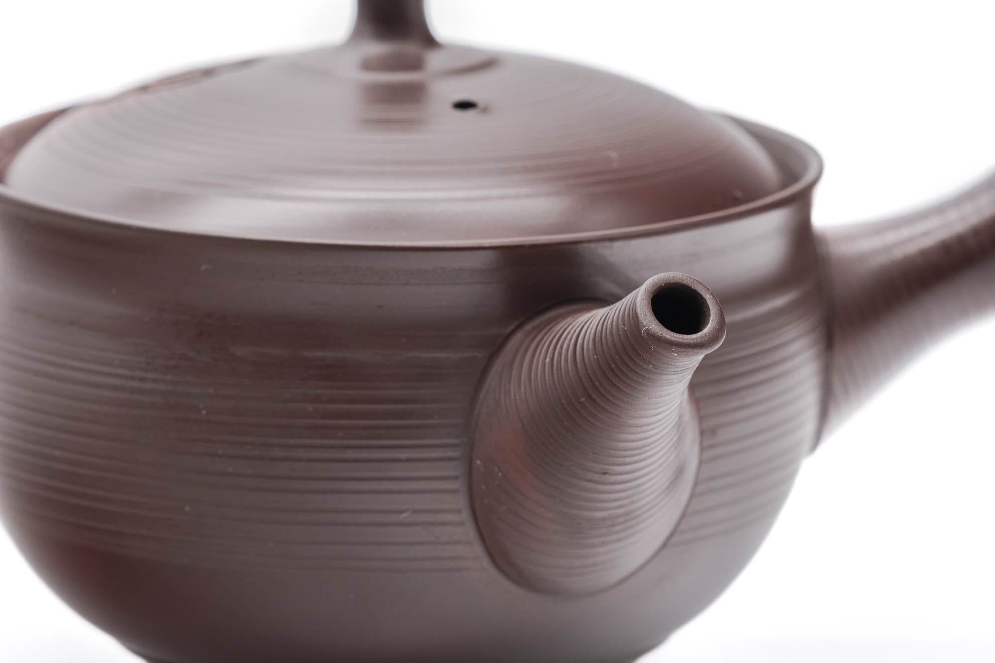 Brown Yōhen Plum Blossoms Tokoname Teapot - 200ml