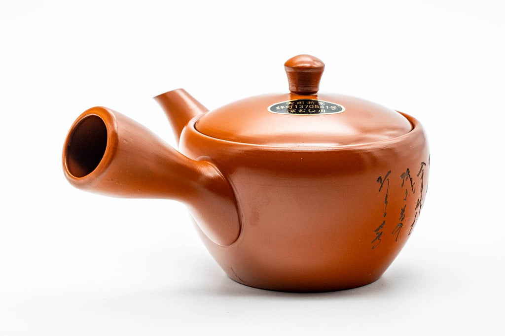 Japanese Kyusu - Calligraphy Engraved Tokoname-yaki Mesh Teapot - 275ml