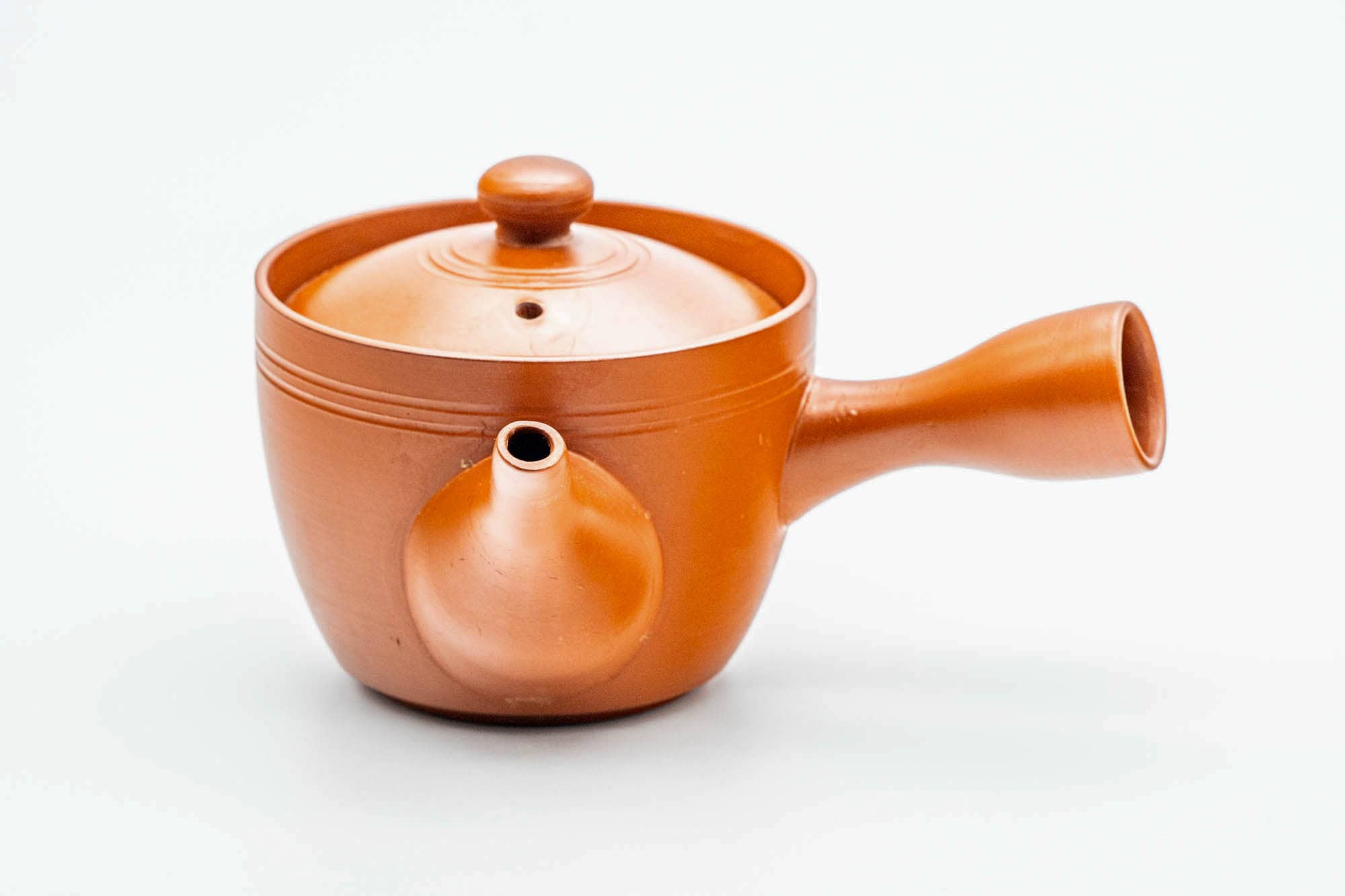 Japanese Kyusu - Red Shudei Tokoname-yaki Mesh Teapot - 160ml