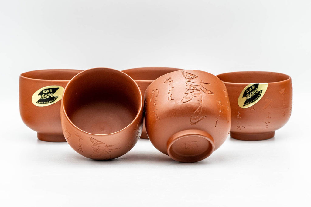 Japanese Tea Set - Glossy Tokoname-yaki Debeso Kyusu Teapot with 5 Yunomi Teacups