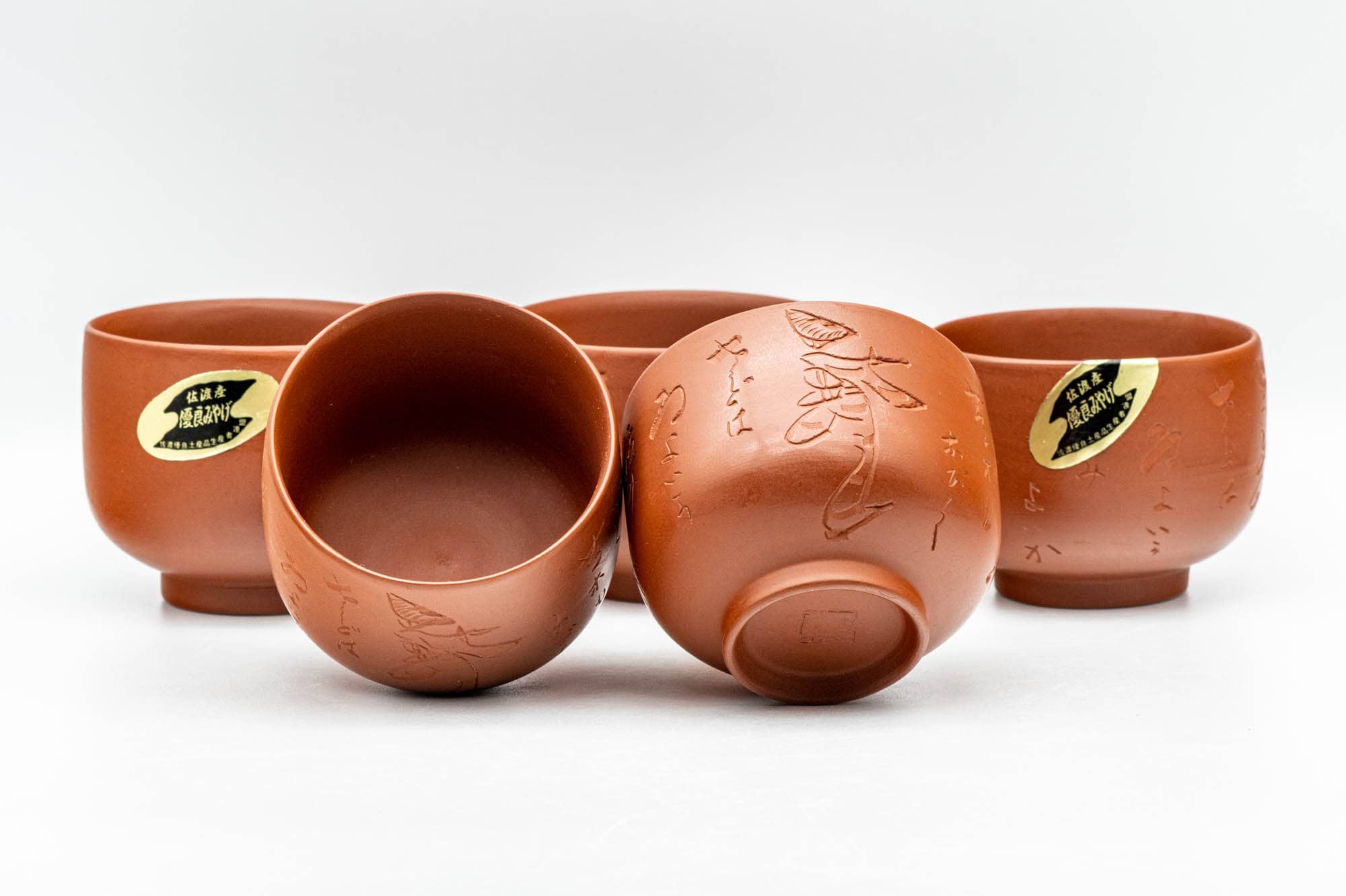 Japanese Tea Set - Glossy Tokoname-yaki Debeso Kyusu Teapot with 5 Yunomi Teacups
