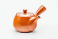 Japanese Kyusu - Red Shudei Tokoname-yaki Mesh Teapot - 250ml