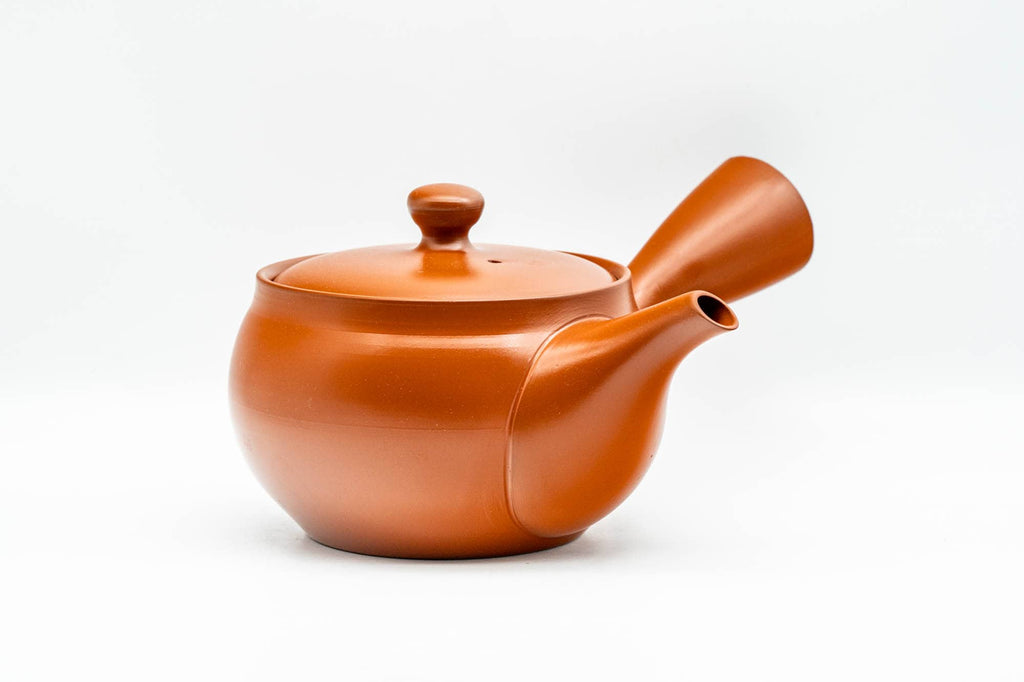 Japanese Kyusu - Classic Red Shudei Tokoname-yaki Mesh Teapot - 350ml