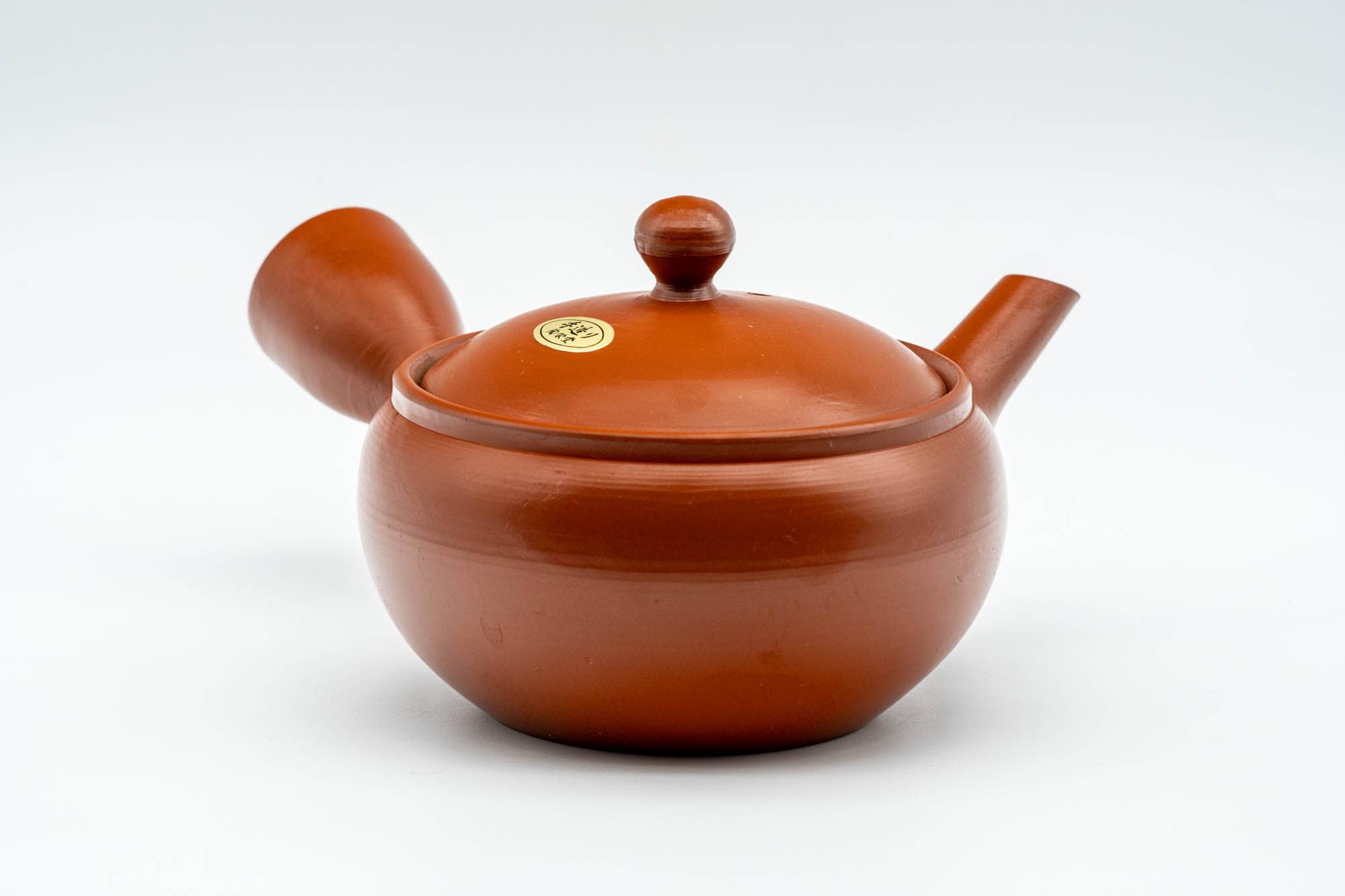 Japanese Kyusu - Classic Red Shudei Tokoname-yaki Mesh Teapot - 230ml