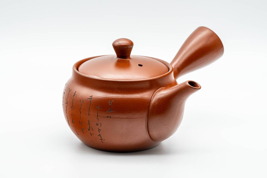 Japanese Kyusu - Calligraphy Engraved Tokoname-yaki Mesh Teapot - 260ml