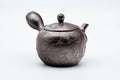 Japanese Kyusu - Engraved Birds Banko-yaki Ceramic Teapot - 150ml