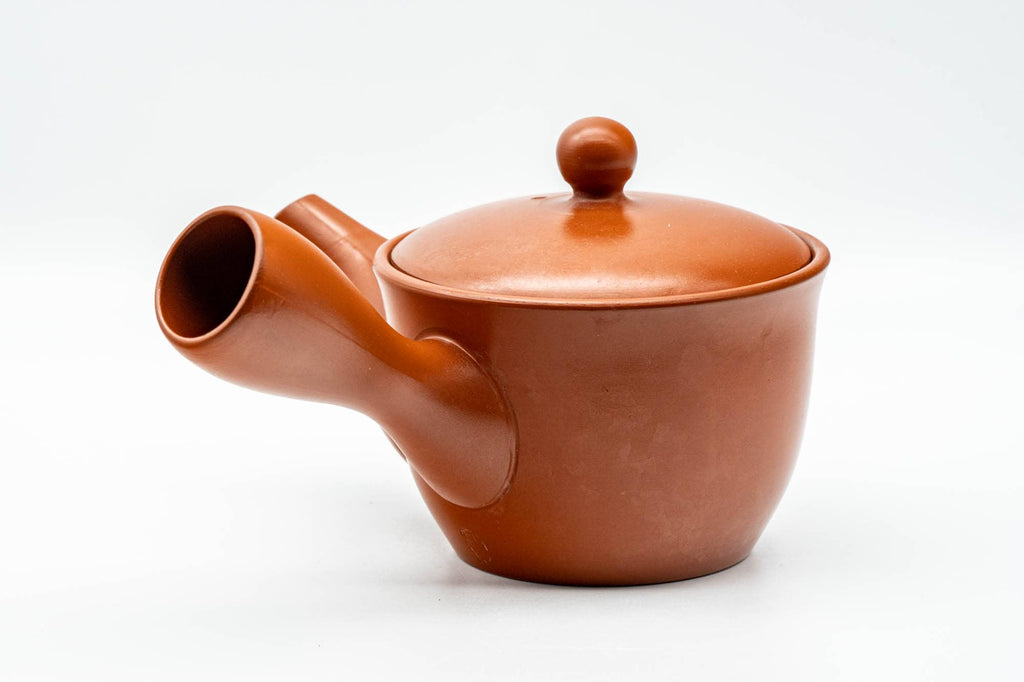 Japanese Kyusu - Classic Red Shudei Tokoname-yaki Mesh Teapot - 275ml