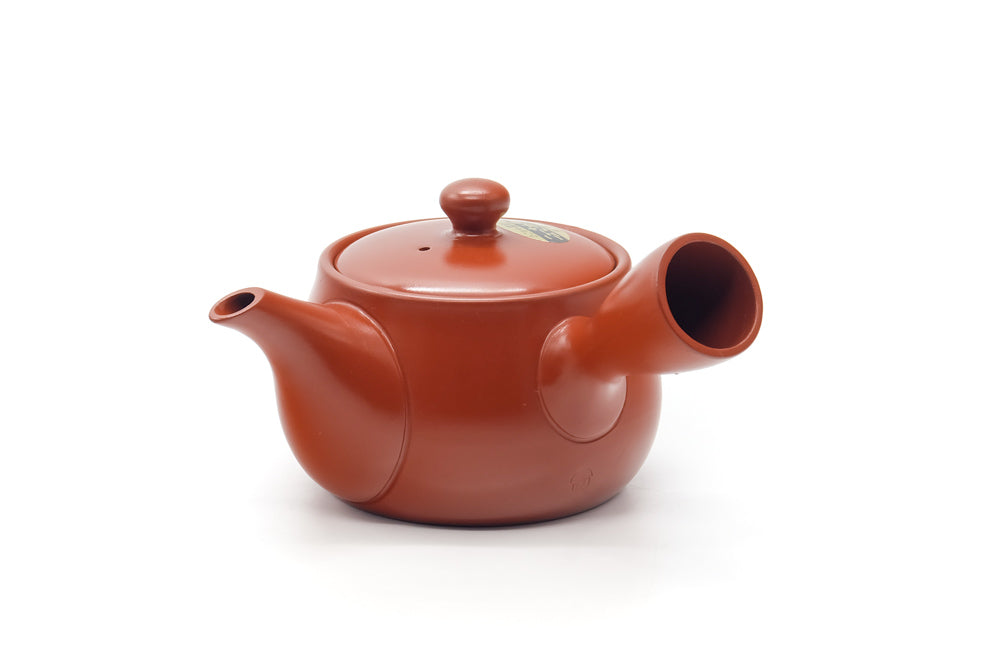 Japanese Kyusu - Long Grass Engraved Tokoname Mesh Teapot - 340ml