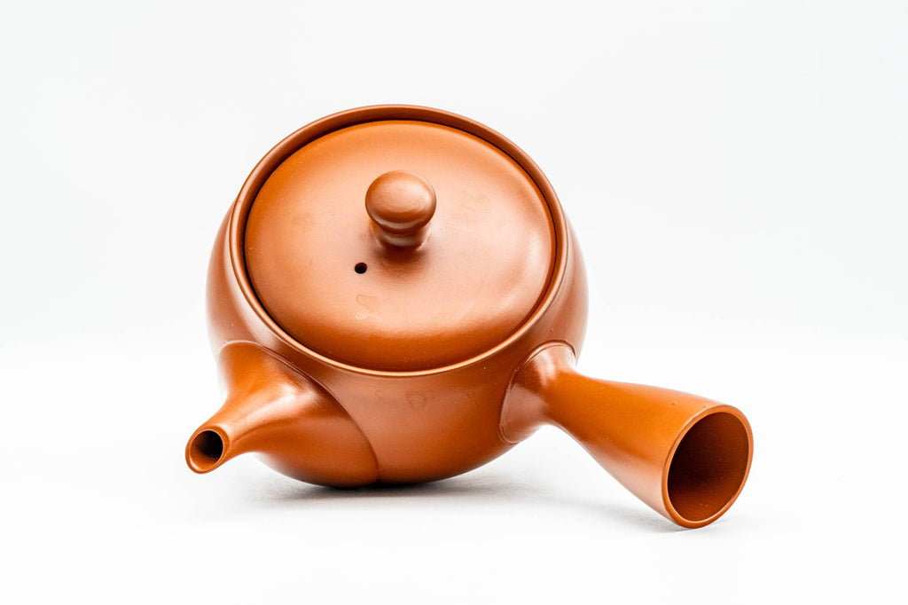 Japanese Kyusu - Classic Red Shudei Tokoname-yaki Mesh Teapot - 350ml