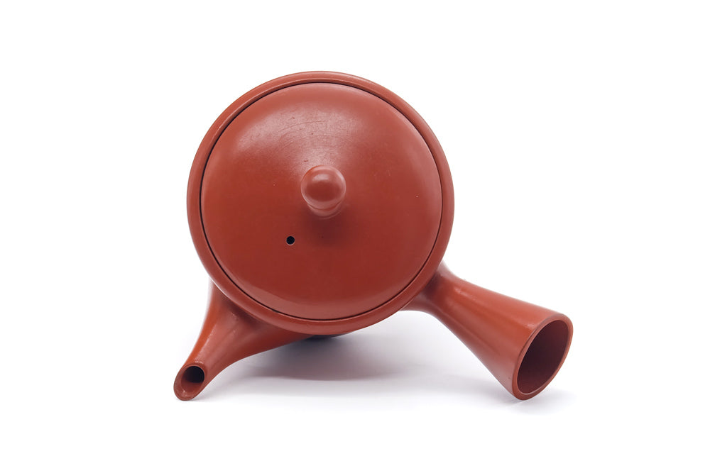 Japanese Kyusu - Bamboo Engraved Tokoname Mesh Teapot - 260ml