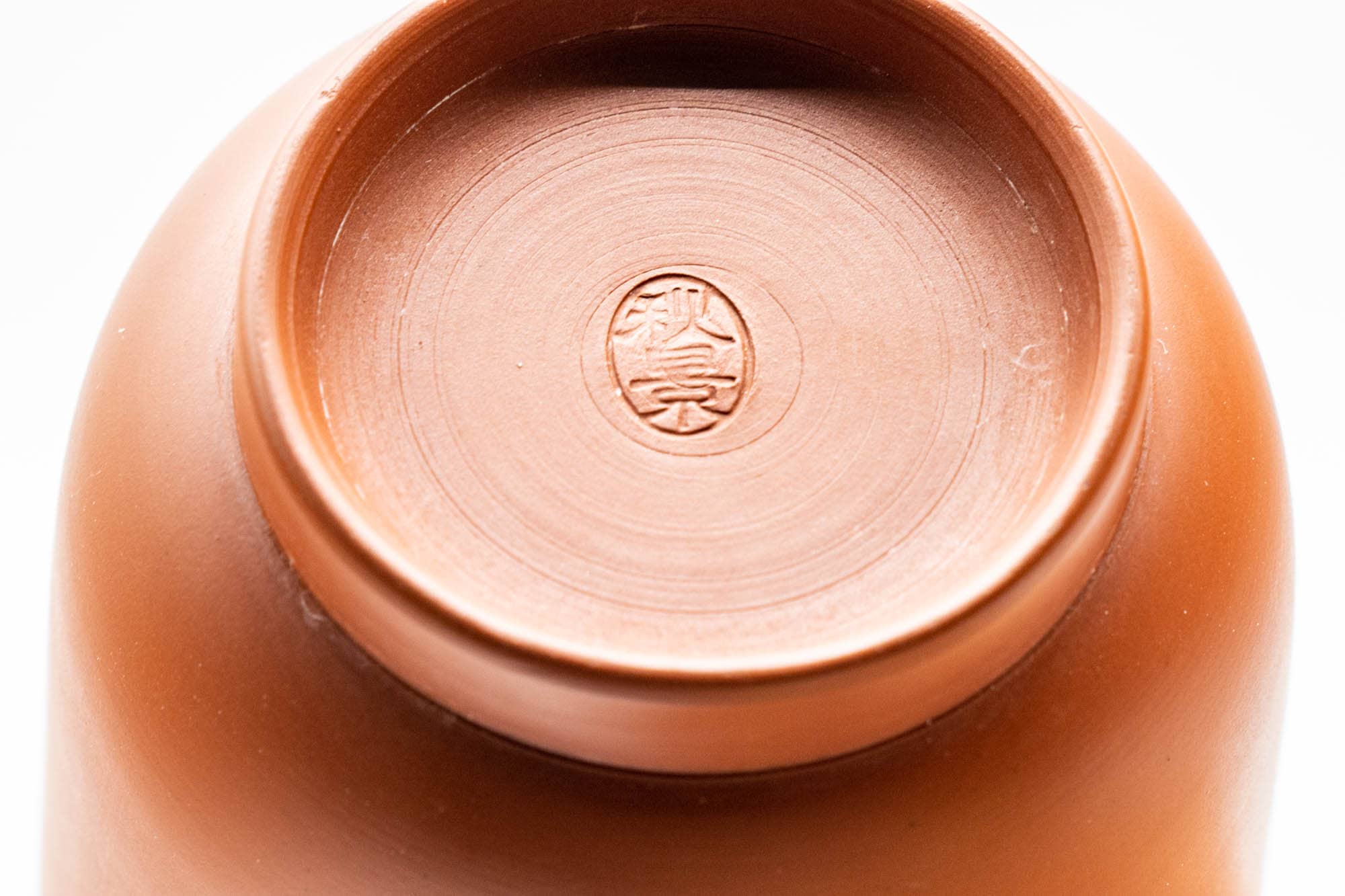 Japanese Teacup - 秋景 Shūkei - Tall Plum Blossoms Yellow Striped Tokoname-yaki Yunomi - 140ml