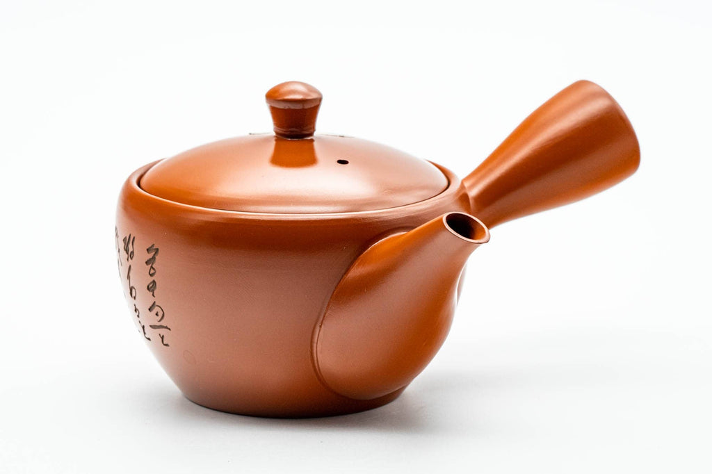 Japanese Kyusu - Calligraphy Engraved Tokoname-yaki Mesh Teapot - 275ml