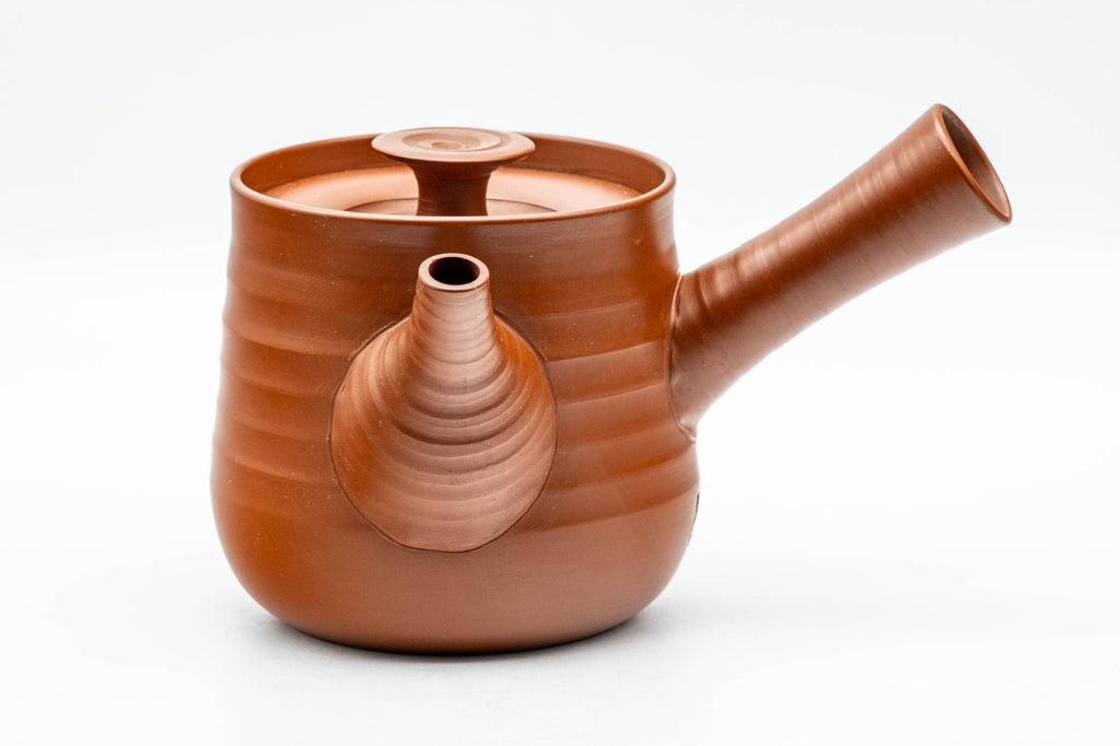 Japanese Kyusu - 岩橋應山 Iwahashi Ouzan - Rokurome Spiraling Tokoname-yaki Do-ake Teapot - 250ml
