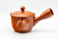 Japanese Kyusu - Classic Red Shudei Tokoname-yaki Mesh Teapot - 275ml