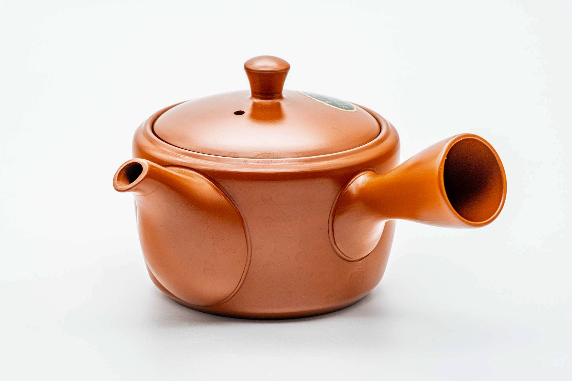 Japanese Kyusu - Classic Red Shudei Tokoname-yaki Mesh Teapot - 330ml