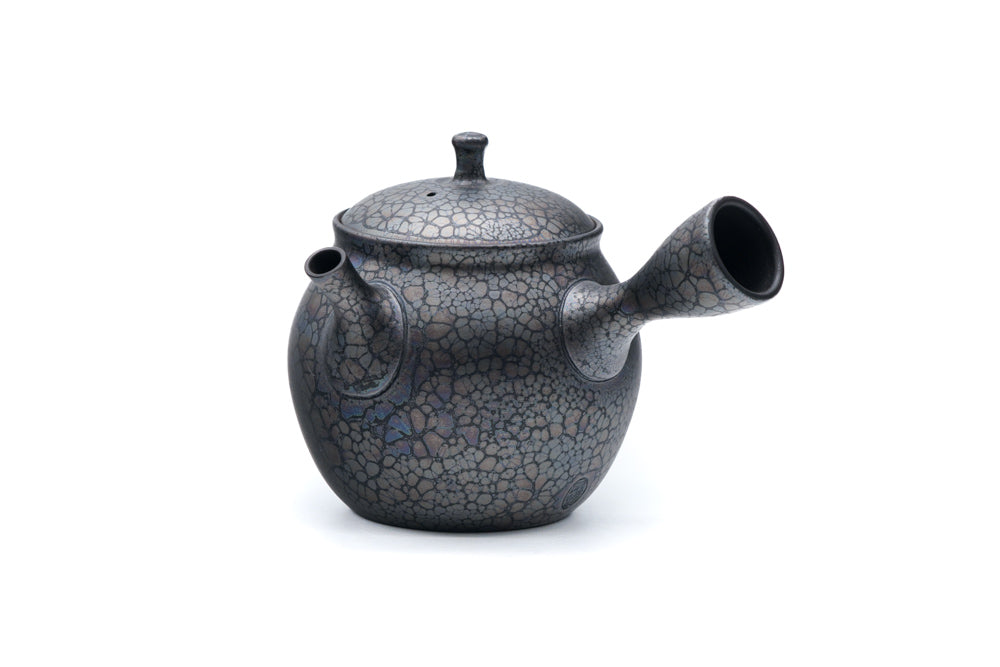 Plum Blossom Tenmoku Tokoname Kokudei Teapot - 260ml