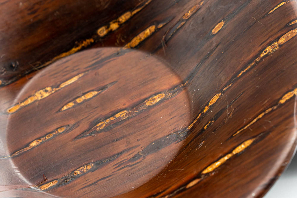Japanese Chataku - Set of 5 Cherry Bark Sakura Wooden Tea Coasters