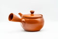 Japanese Kyusu - Classic Red Shudei Tokoname-yaki Mesh Teapot - 350ml