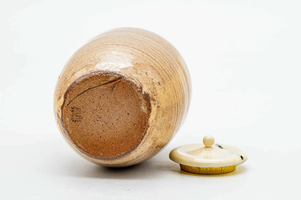 Japanese Chaire - 大野瑞峰 Mizumine Ōno - Beige Biwa-iro Loquat Glazed Hagi-yaki Tea Caddy