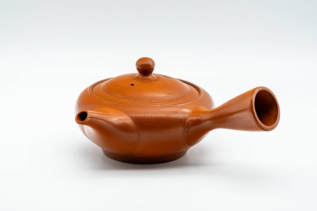 Japanese Kyusu - Leaf Engraved Mesh Strainer Tokoname-yaki Teapot - 225ml