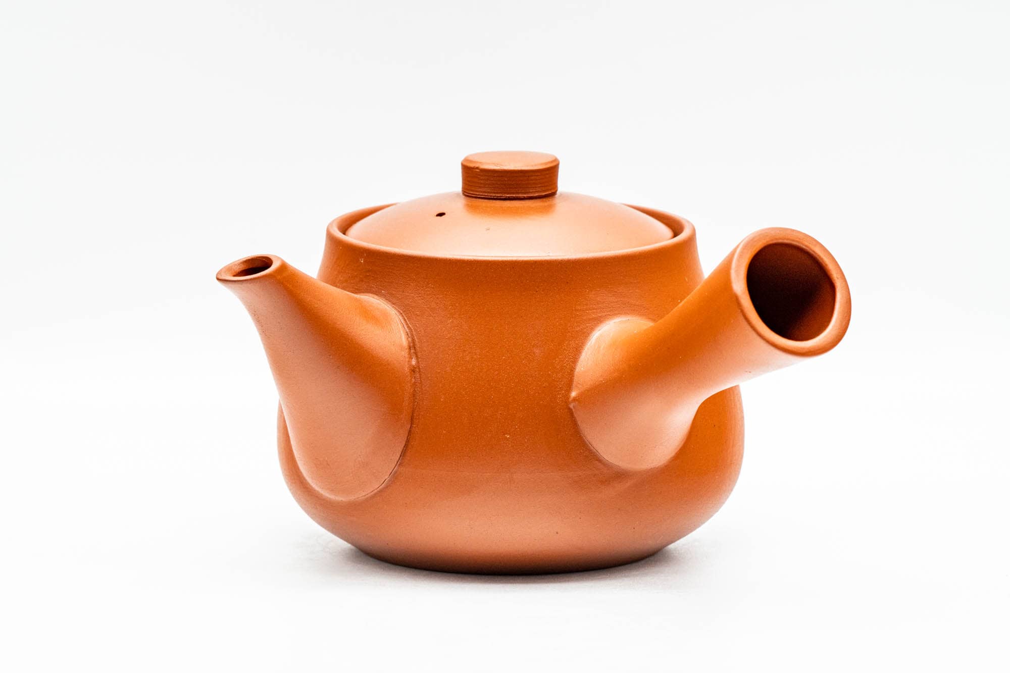 Japanese Kyusu - Bamboo Engraved Red Shudei Tokoname-yaki Ceramic Filter Teapot - 315ml