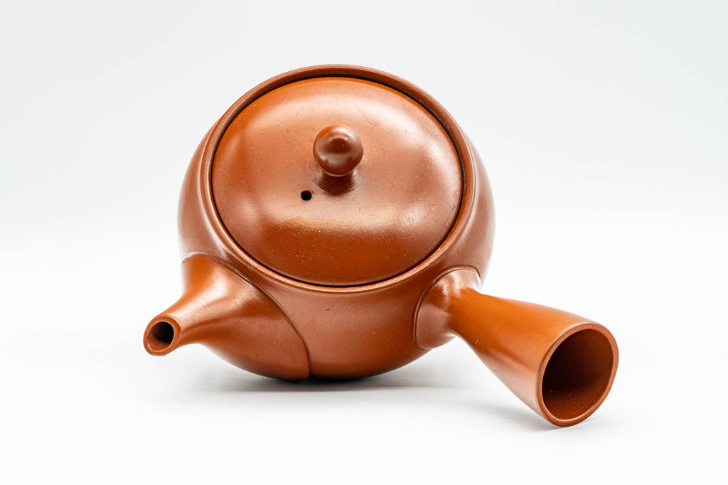 Japanese Kyusu - Plum Blossom Tokoname-yaki Teapot with Mesh Strainer - 350ml