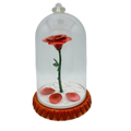 English Ladies Disney Beauty & the Beast Enchanted Rose